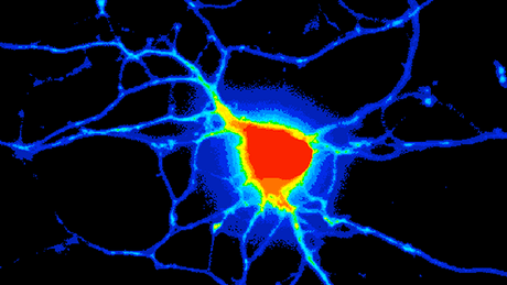 Integrated Analysis in Systems Biology