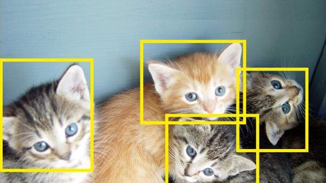 Detecci&oacute;n de objetos (Object Detection)