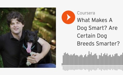 What Makes A Dog Smart? Are Certain Dog Breeds Smarter?