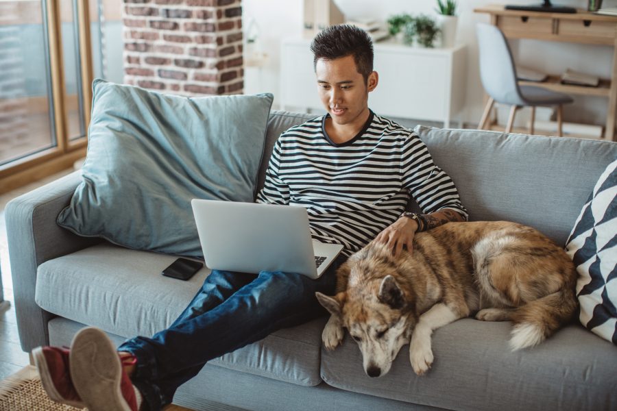 New content from AWS, EC-Council, (ISC)², Intuit, and Siemens helps learners prepare for certification exams and boost their careers
